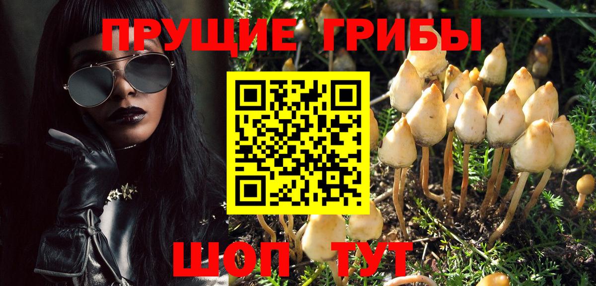 Псилоцибиновые грибы Psilocybe  Вход с VPN  Галлюциногенные грибы мухоморы  Петровск 