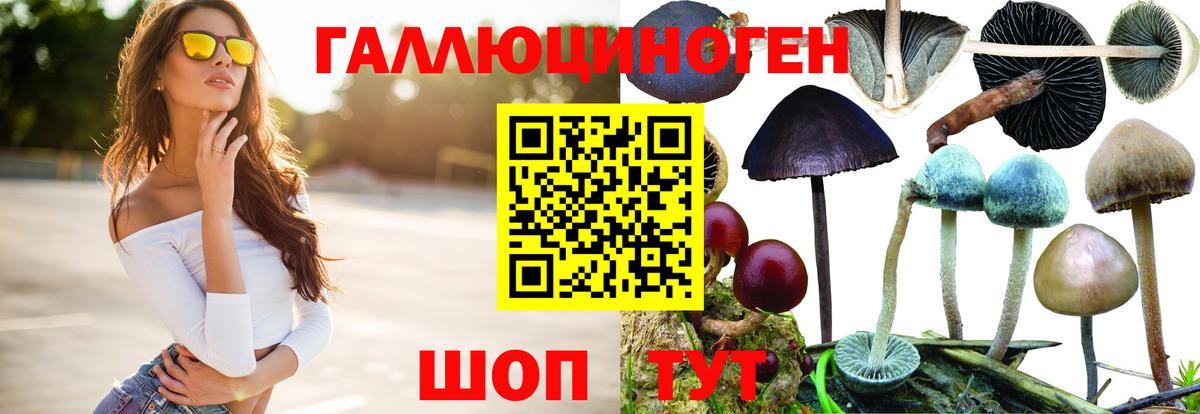 Псилоцибиновые грибы Magic Shrooms Петровск